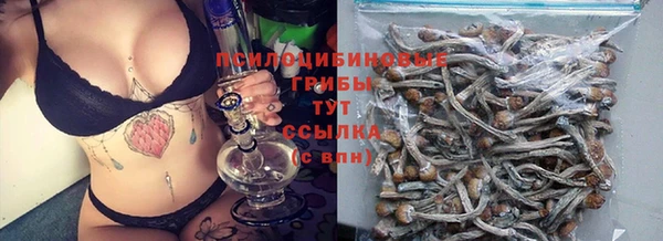 синтетический гашиш Алексеевка