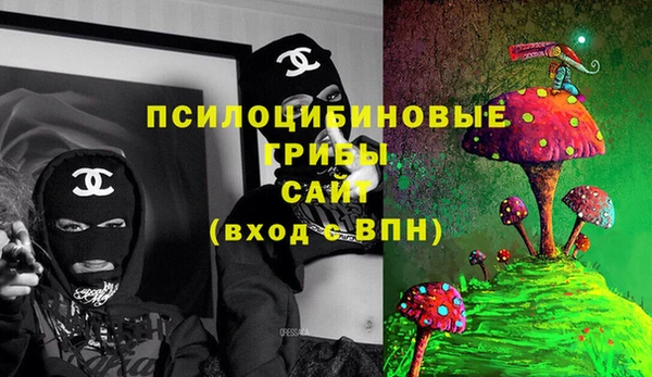 круглые Абаза