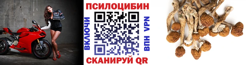 Псилоцибиновые грибы прущие грибы  наркотики  Котельнич 